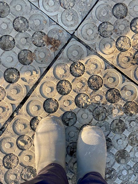 Horse Paddock Mud Control Grid