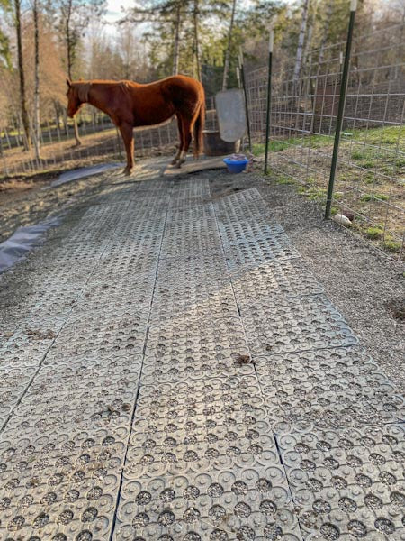 Horse Paddock Mud Control Grid
