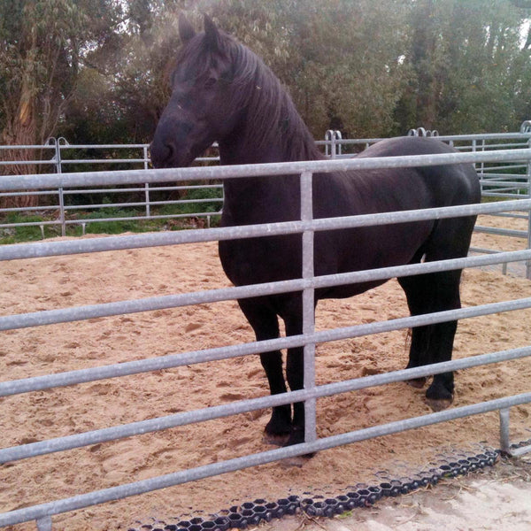 Stable Grid Flooring: Types & How to Choose