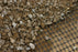 Tensar BX1100 Biaxial Geogrid - 12.5' x 328' Roll