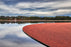 Cranberry Boom - 10' x 50'
