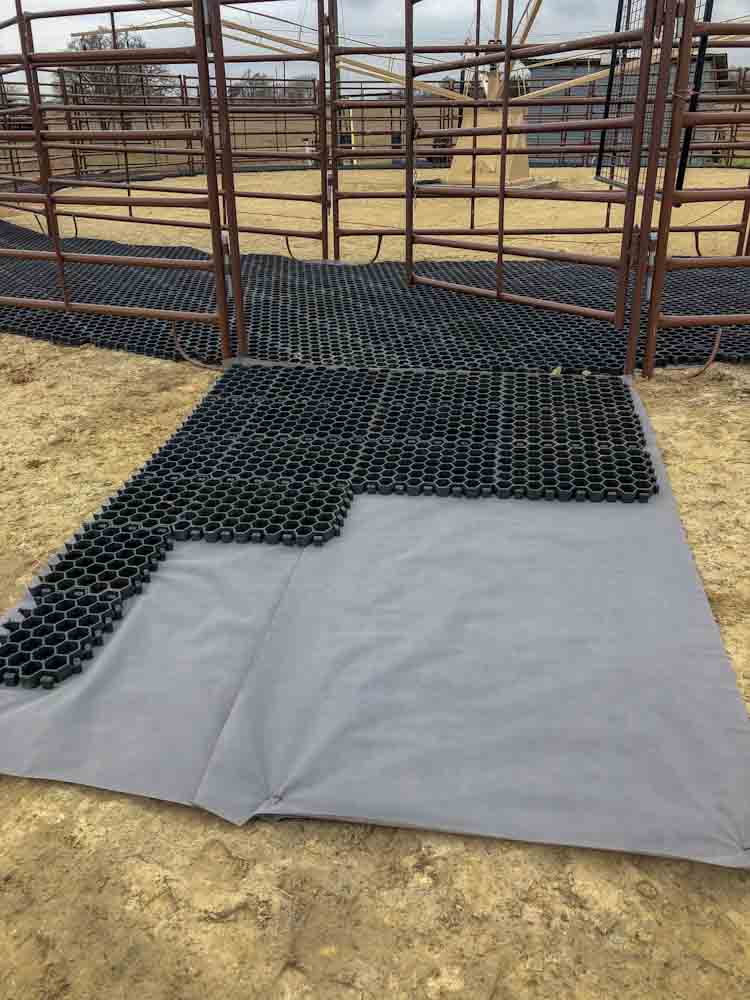 Horse Paddock Footing Grid - Paddock Slab