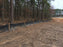 Black silt fence along a woodland edge
