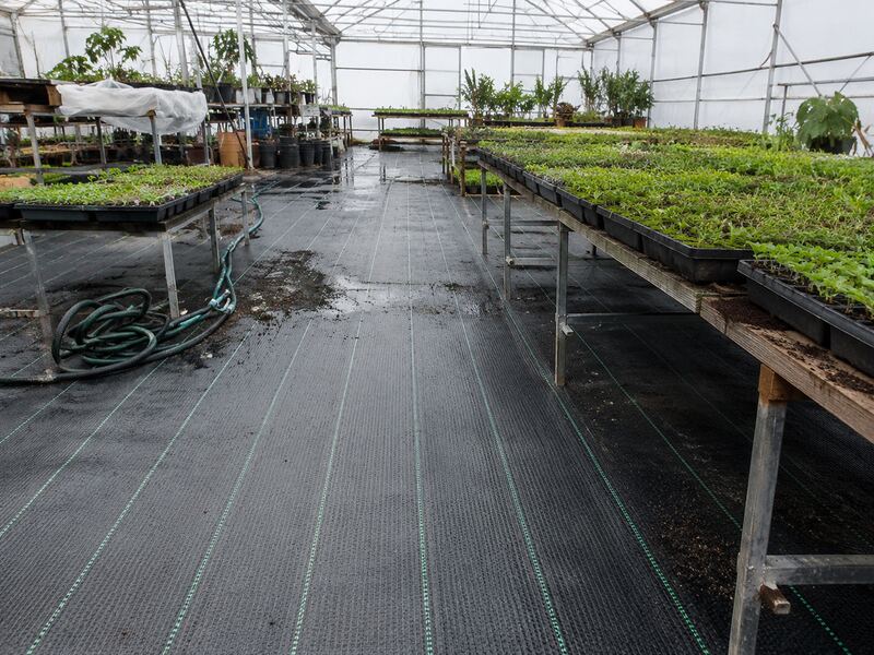 Woven ground cover fabric on a propagation greenhouse floor
