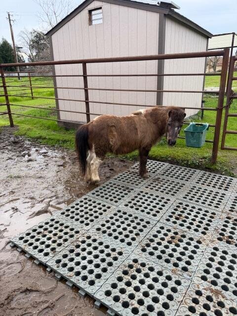 Mud control grid mat installation in a muddy area
