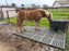 Mud control grid mats in a paddock
