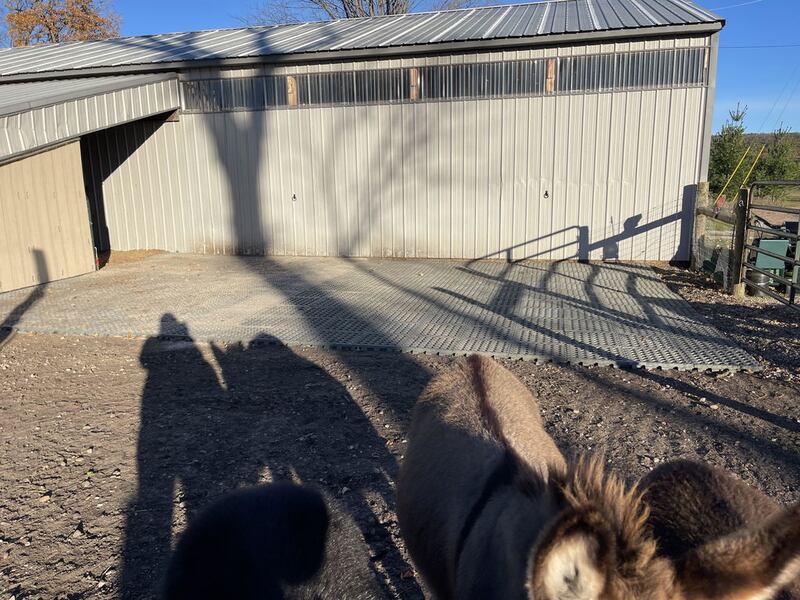 Mud control grid installed in a run-in shed
