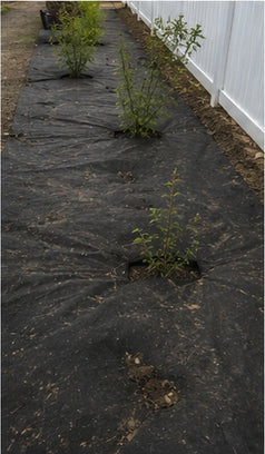 Non-woven geotextile fabric in a landscape planting bed
