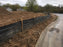 Silt fence and mud along a curb for sediment control
