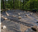 Weed barrier fabric across a large wooded planting area
