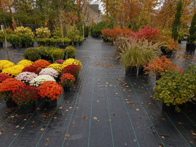 Woven landscape fabric under potted plants at an autumn nursery
