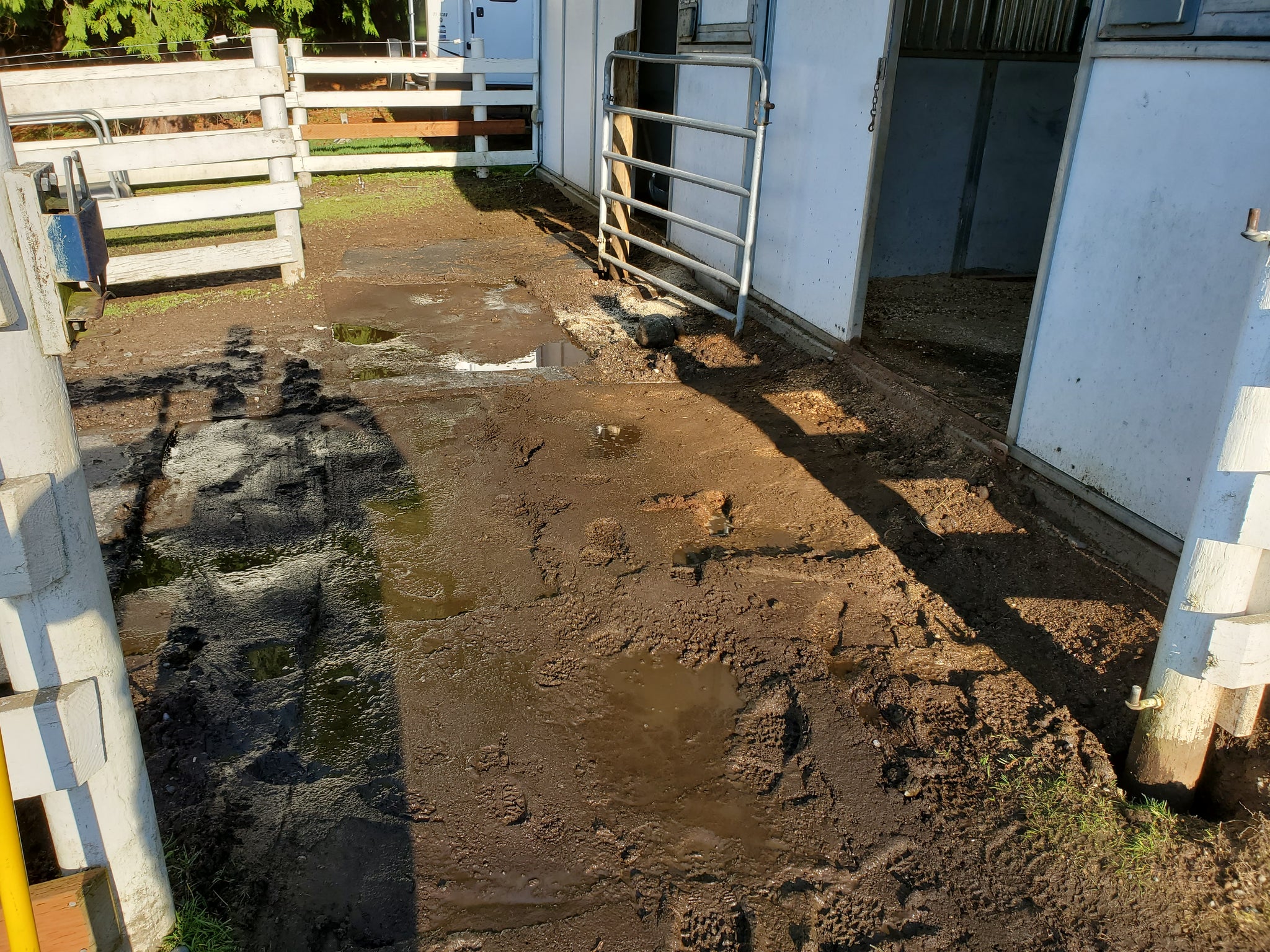 Horse Paddock Mud Control Grid