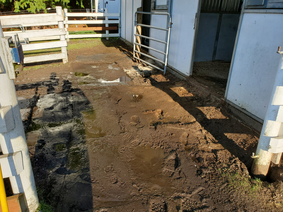 Horse Paddock Mud Control Grid