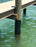 Dock Piling Wrap