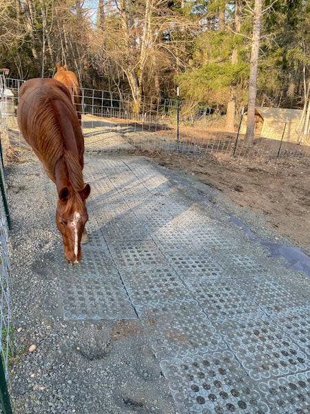 Horse Paddock Mud Control Grid