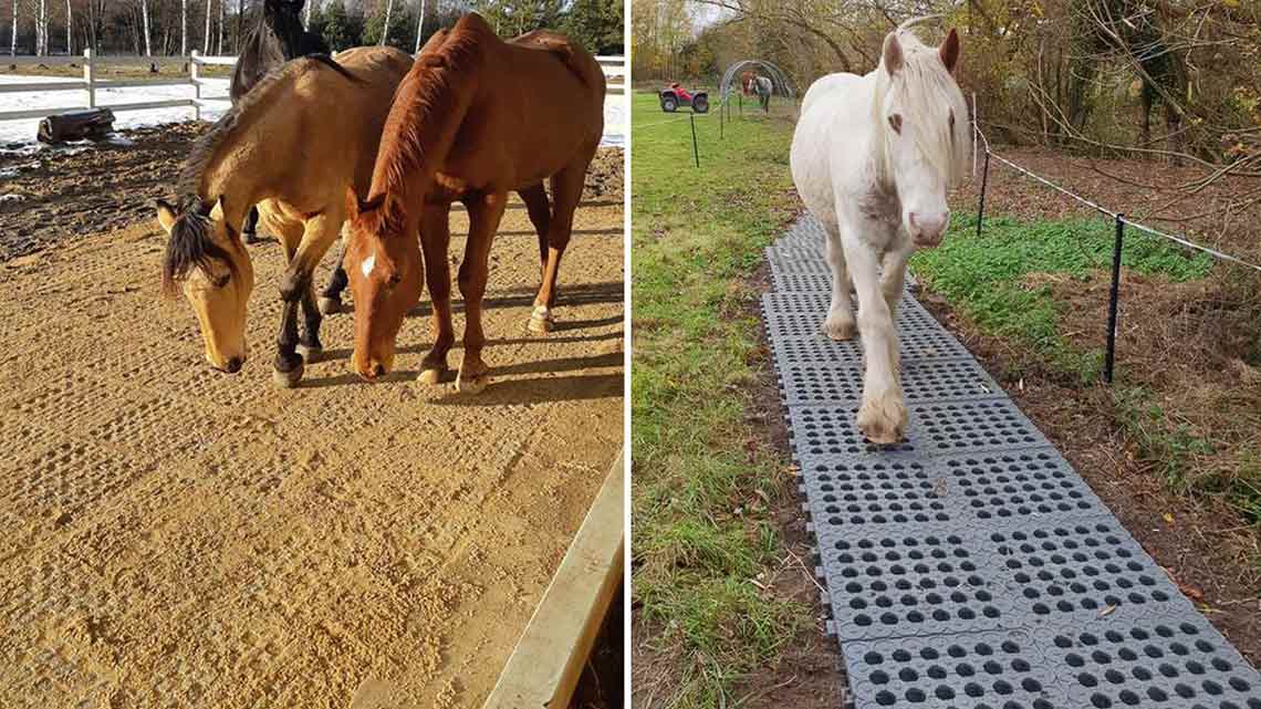 Horse Paddock Mud Control Grid