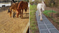 Horse Paddock Mud Control Grid