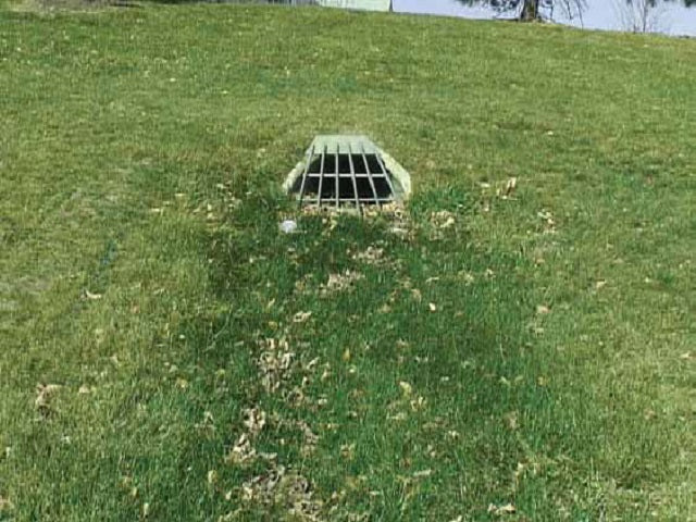 Scourstop Transition Mat - 4' x 4' - Green