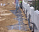 Tensar UX1400MSE Uniaxial Geogrid - 4.36' x 250' Roll