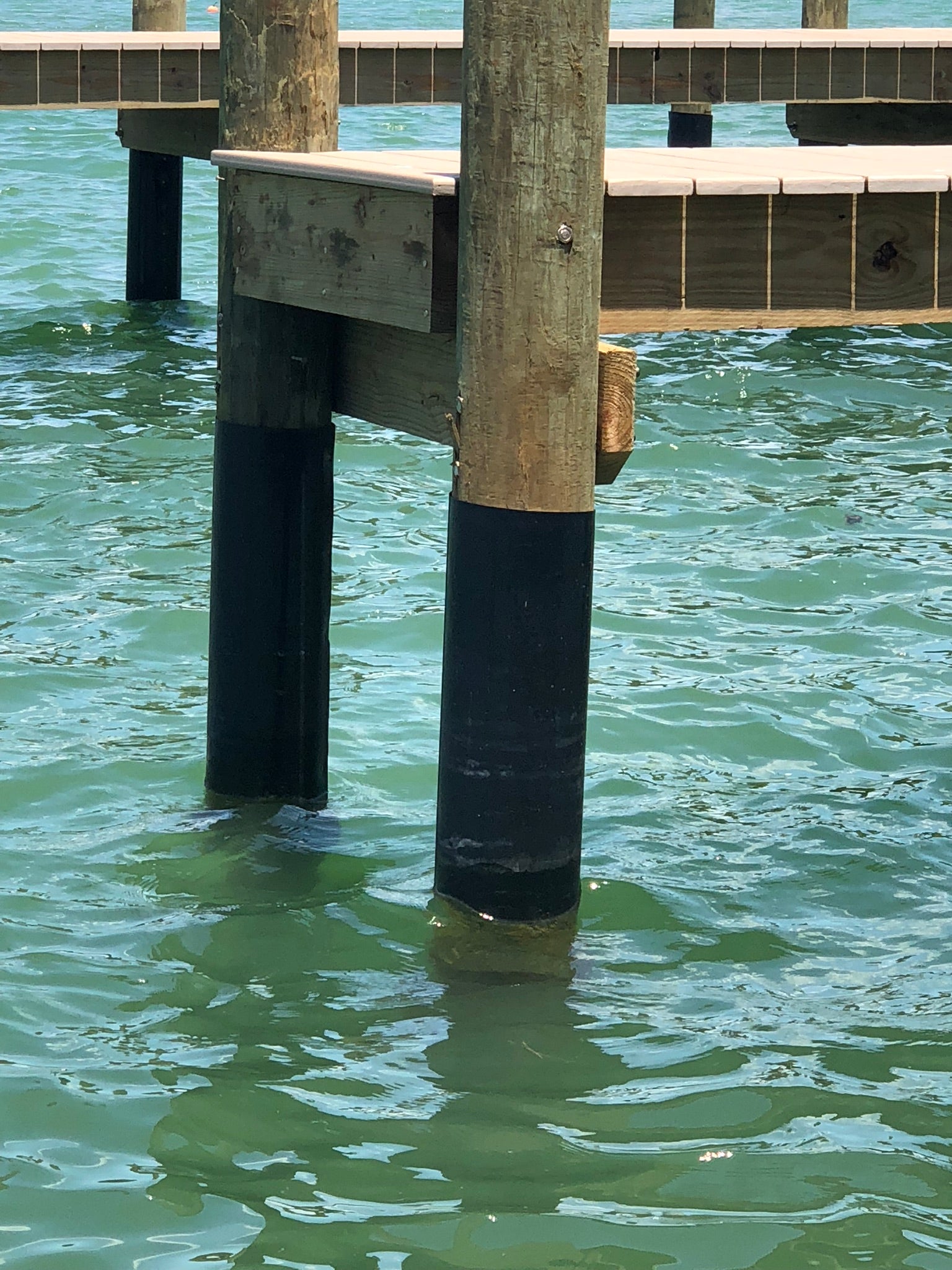 Image of a dock piling wrapped in a protective plastic