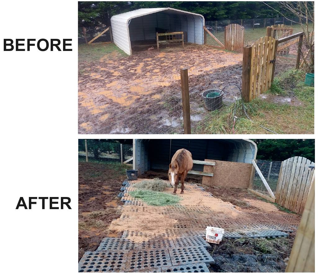 Before and After install of Horse Mud Management grids in paddock