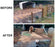 Before and After install of Horse Mud Management grids in paddock