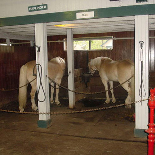 Horse Stall Mat - 4' x 6' -  3/8" Thick - Button Texture
