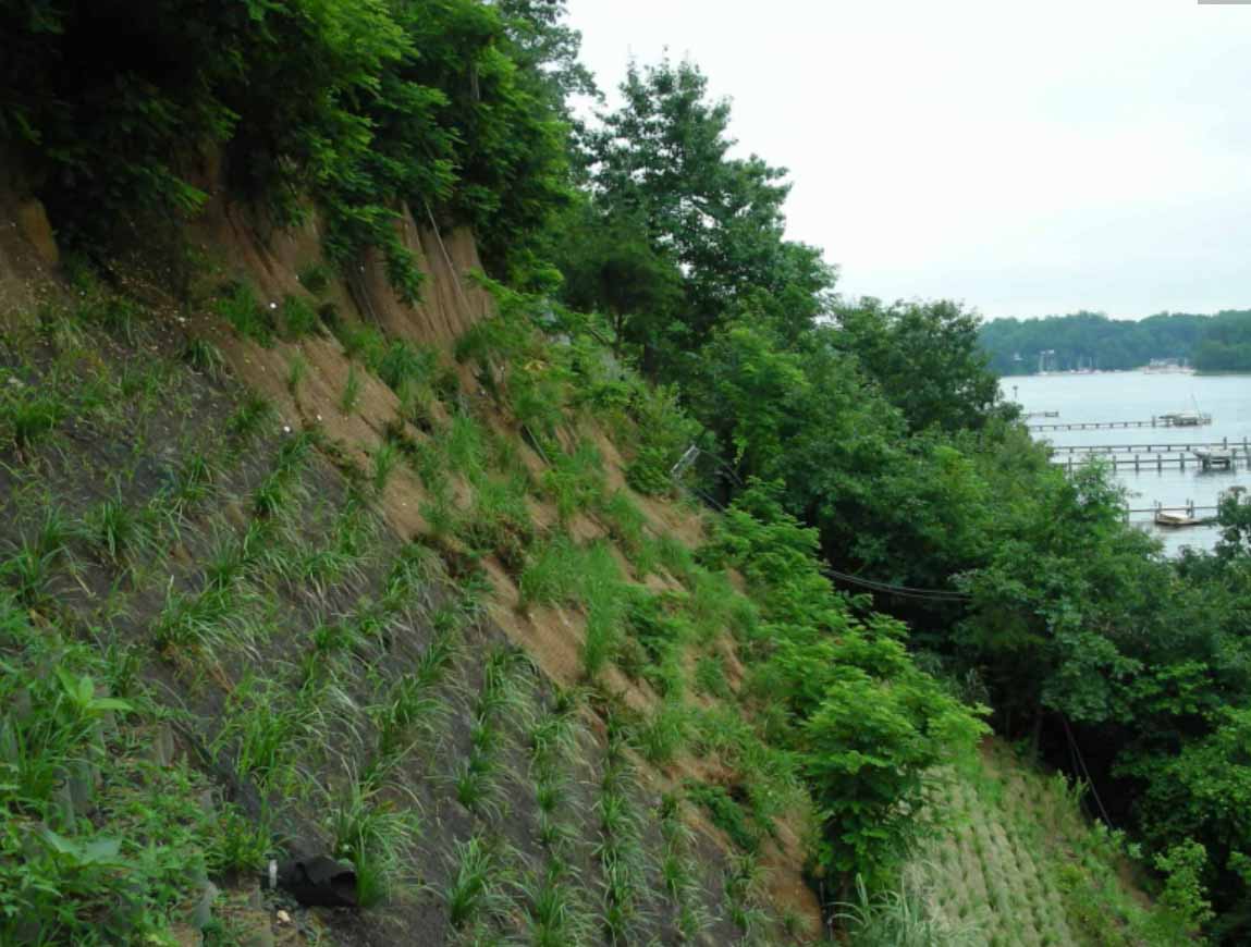Slope Stabilization Grid - 6
