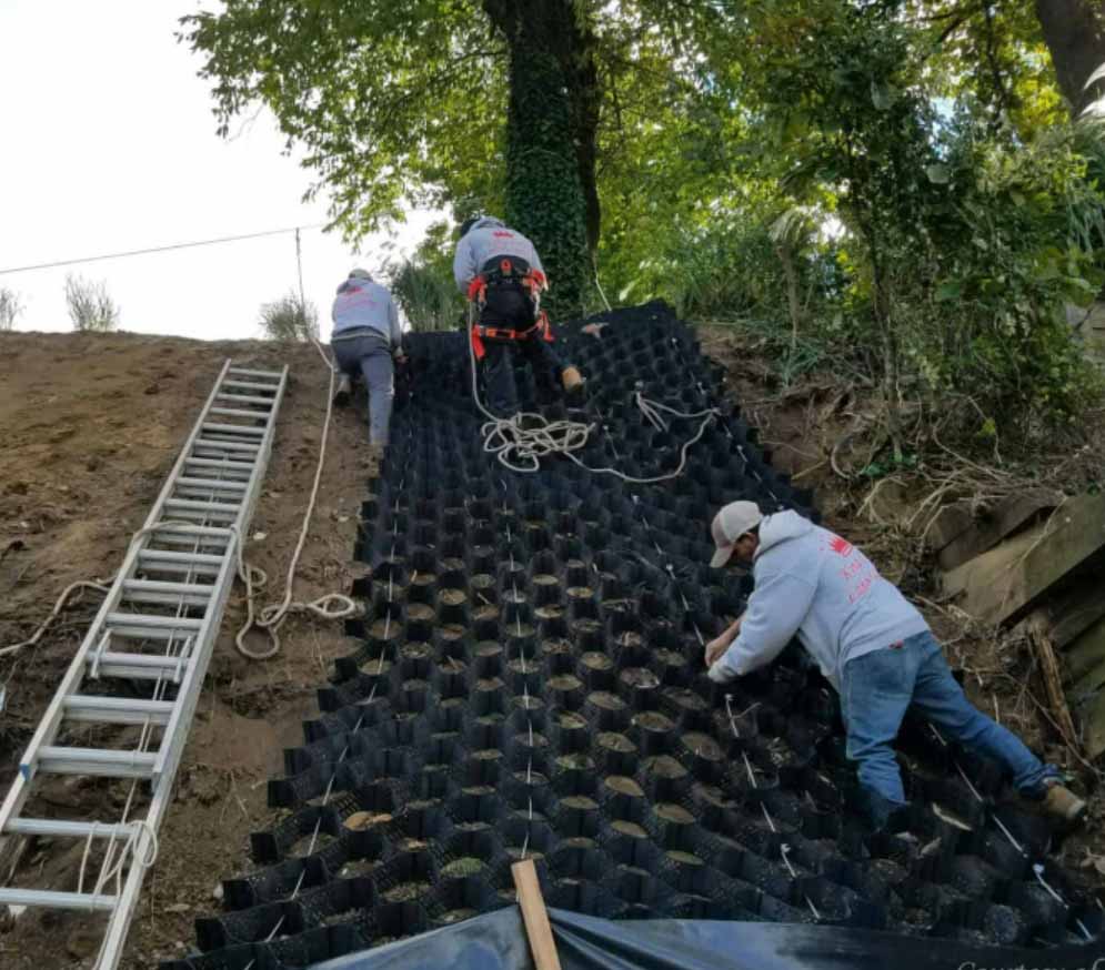 Slope Stabilization Grid - 4